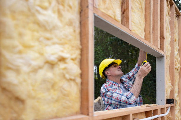 Best Eco-Friendly Insulation Solutions  in Bladensburg, MD