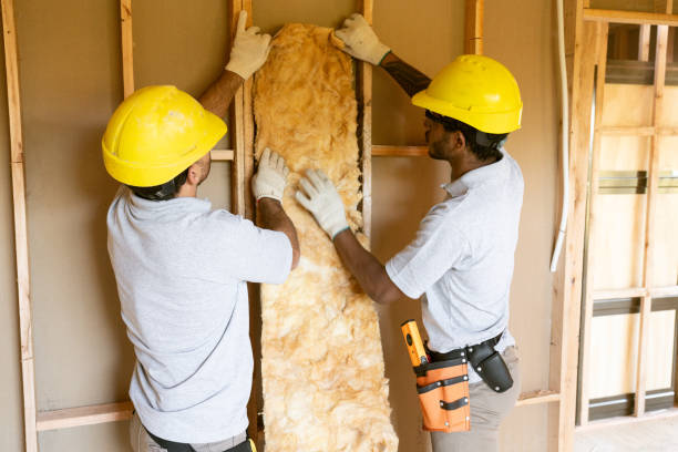 Types of Insulation We Offer in Bladensburg, MD