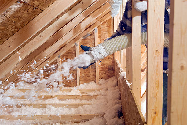 Best Insulation for New Construction  in Bladensburg, MD