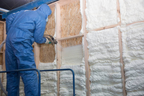 Best Batt and Roll Insulation  in Bladensburg, MD